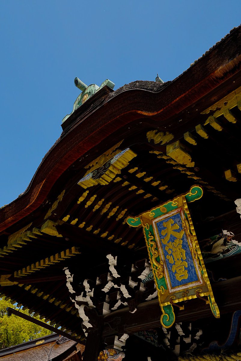 やすま tweet media