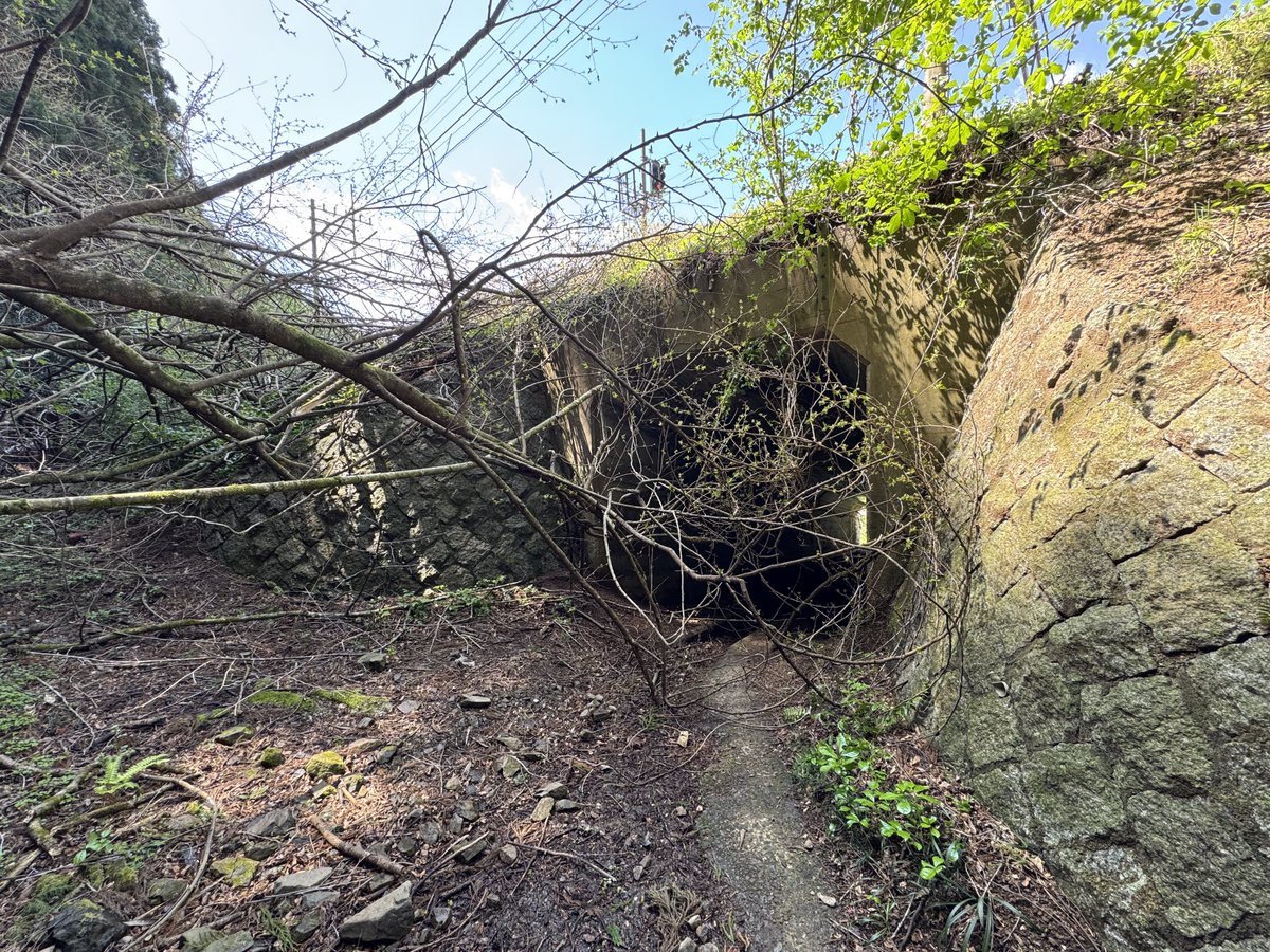 えびてん tweet media