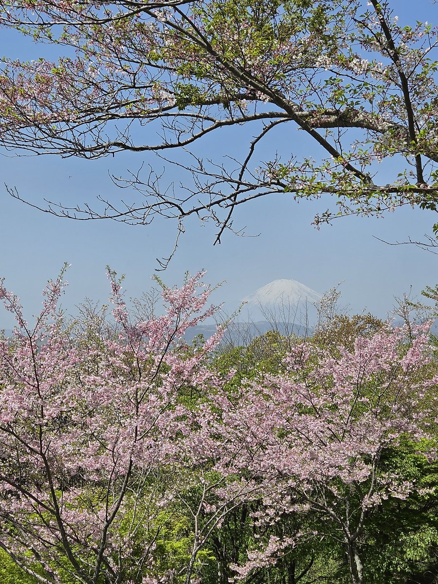 しょうご tweet media