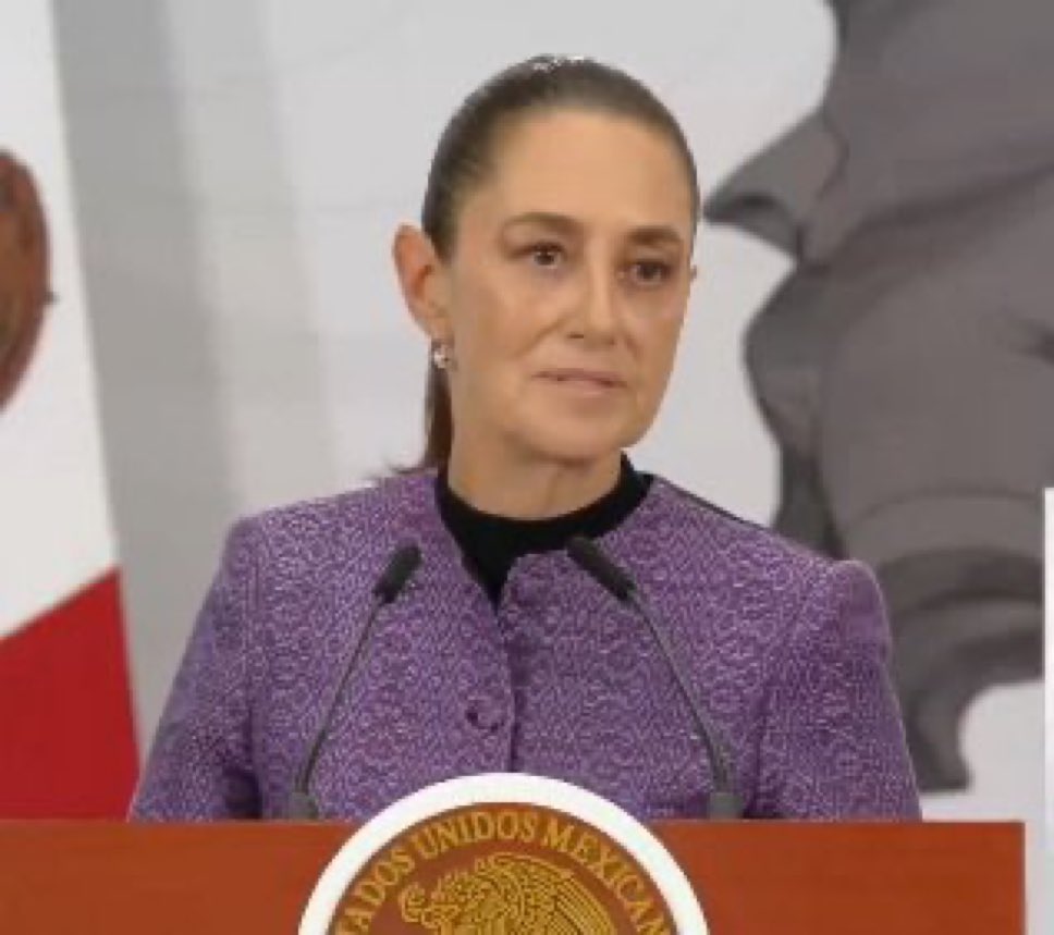 Ana Lucía Medina 🇲🇽 tweet media