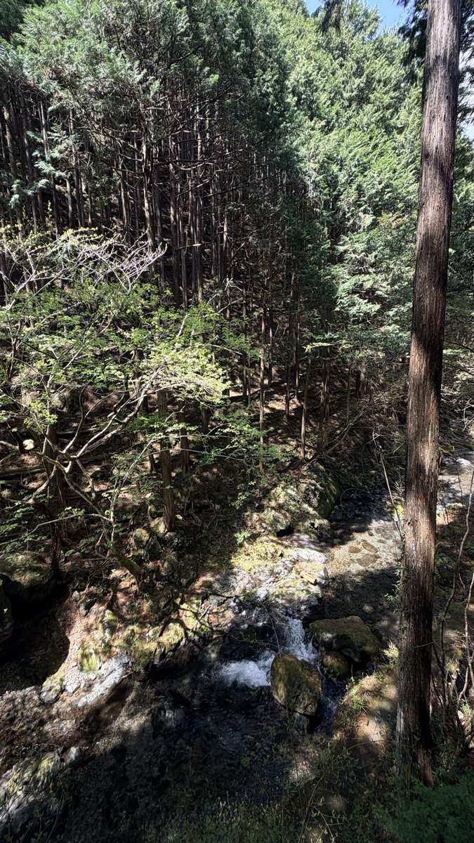今日は天気がよく、日が入って気持ちいいです！
お出掛け日和なので、やっぱり車、バイク、自転車多かったです！
奥多摩にお出掛けの際はぜひお立ち寄り下さい🌿