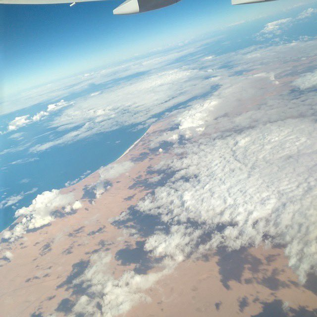 ابو دانتي - ماجد الحربي tweet media