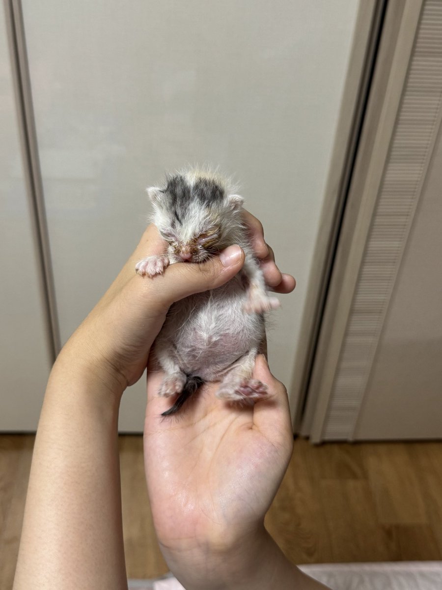 당근🥕 tweet media