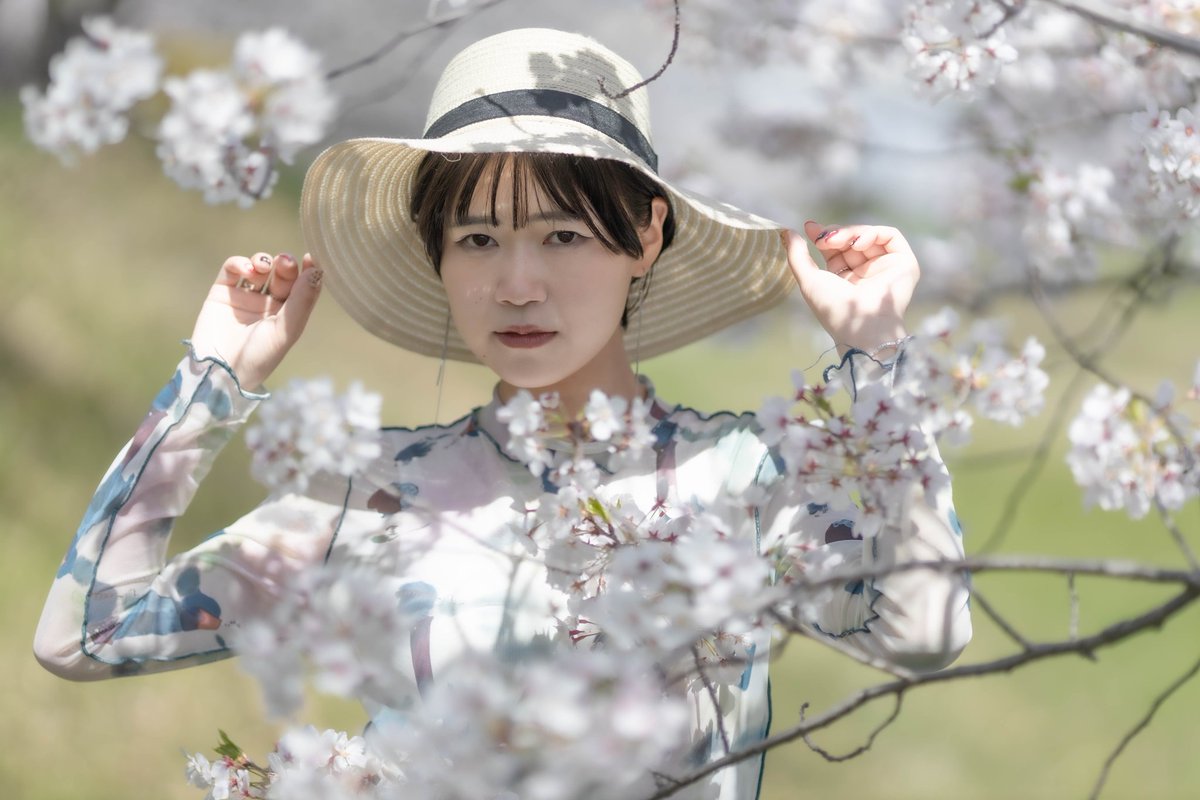 tk_potore's tweet photo. 過去pic
懐かしの桜撮影🌸 https://t.co/iTlpStPnxV