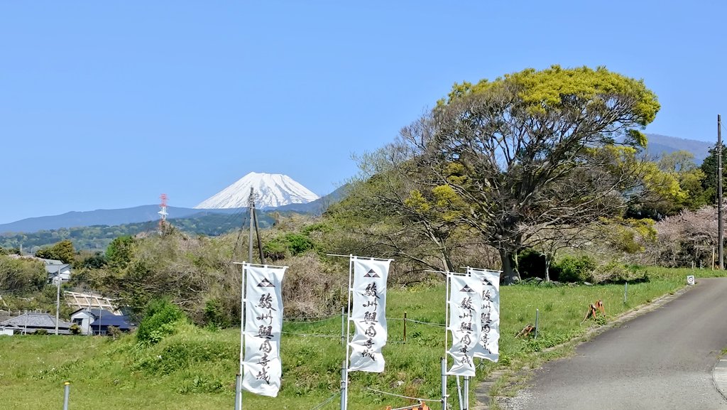 🌻浮島さん@ソロ垢🌻浮島まちづくり委員会🌻浮島地区環境保全推進会 tweet media