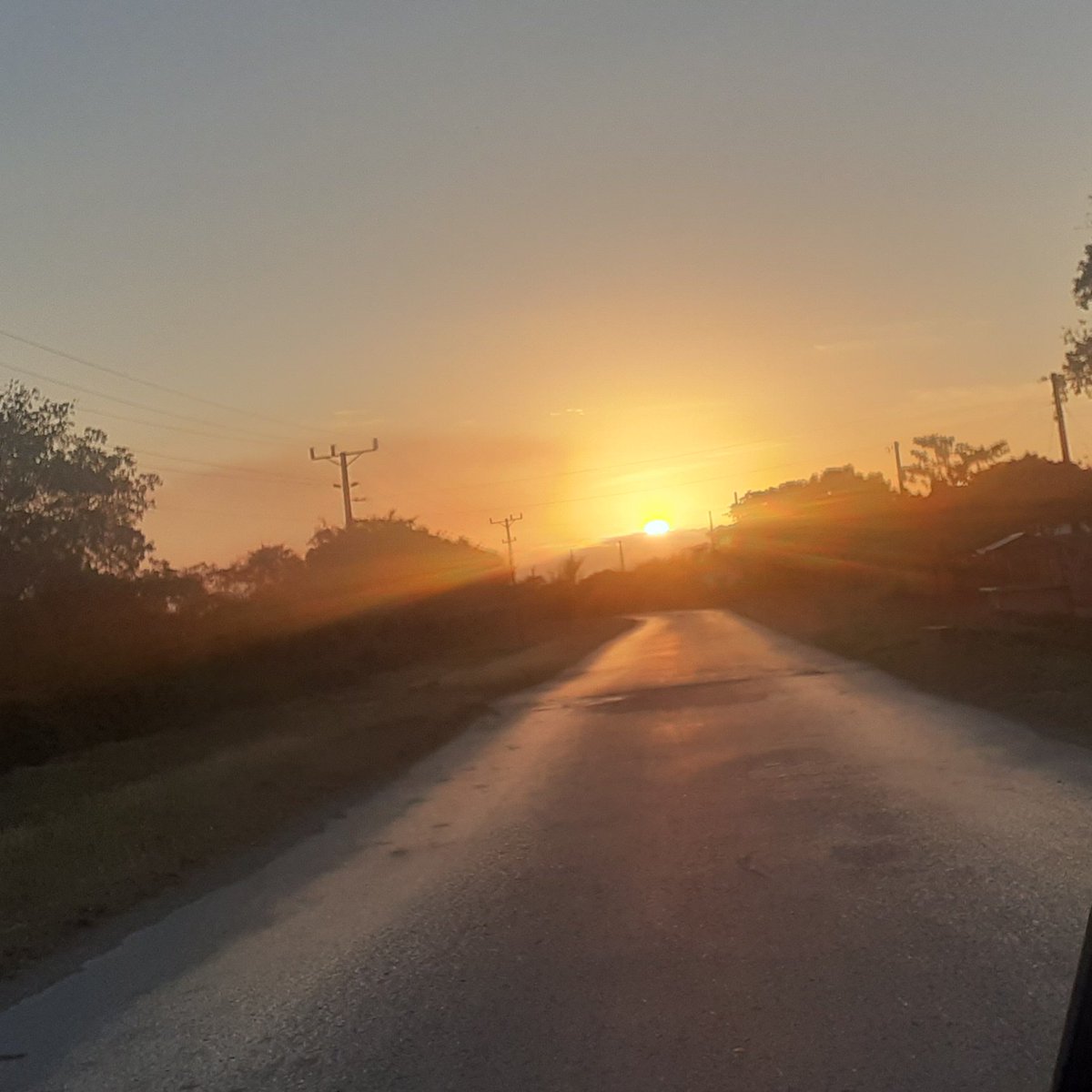 Enelis Reyes tweet media