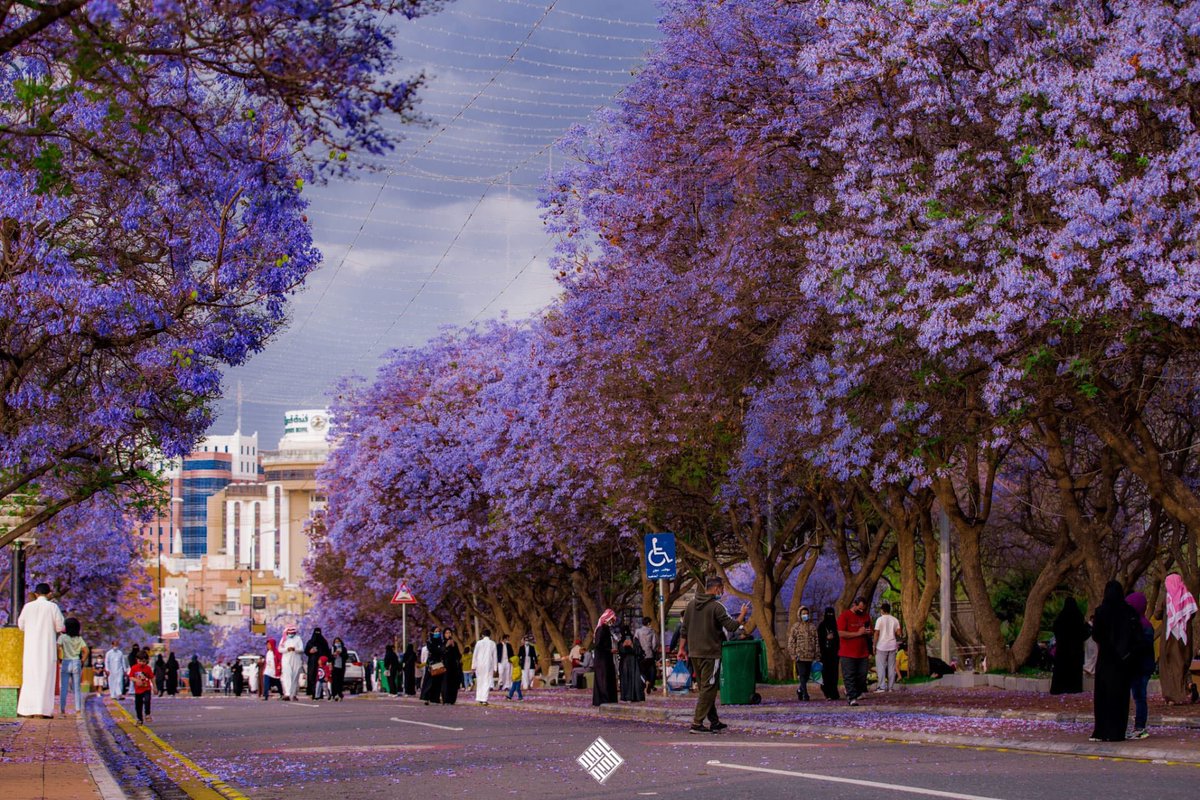 𝑅𝑒𝑛𝑎𝑑 ❦ tweet media