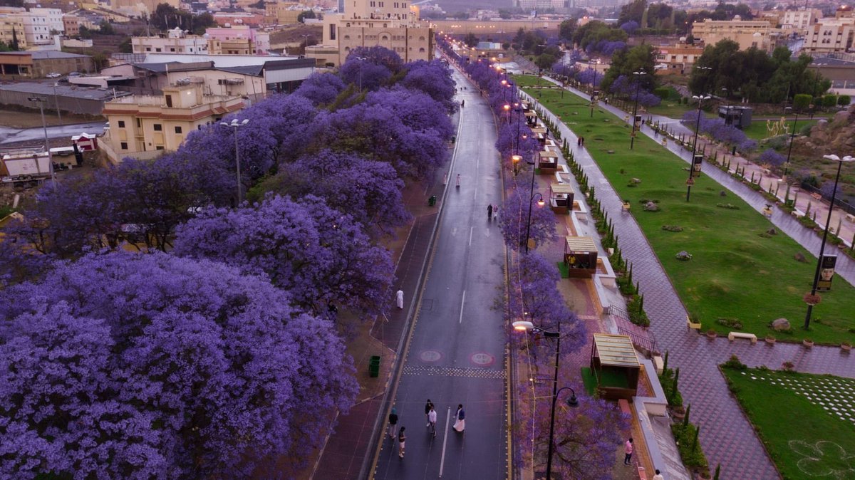 𝑅𝑒𝑛𝑎𝑑 ❦ tweet media