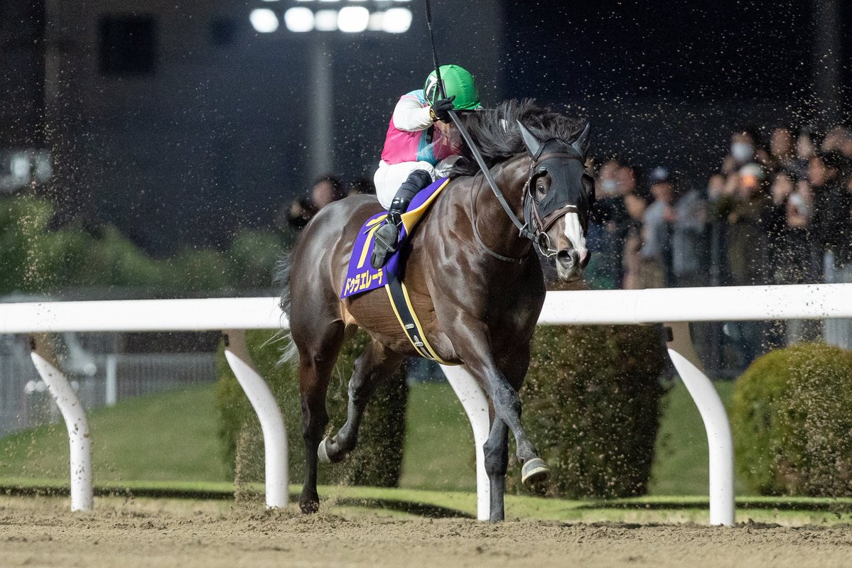 野畑凌 tweet media