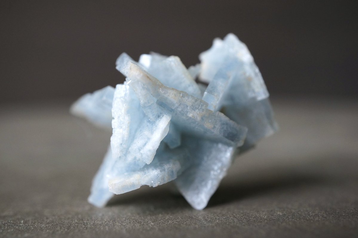 叙景 jokei 鉱物 / 風景石 / 化石 /水石 tweet media