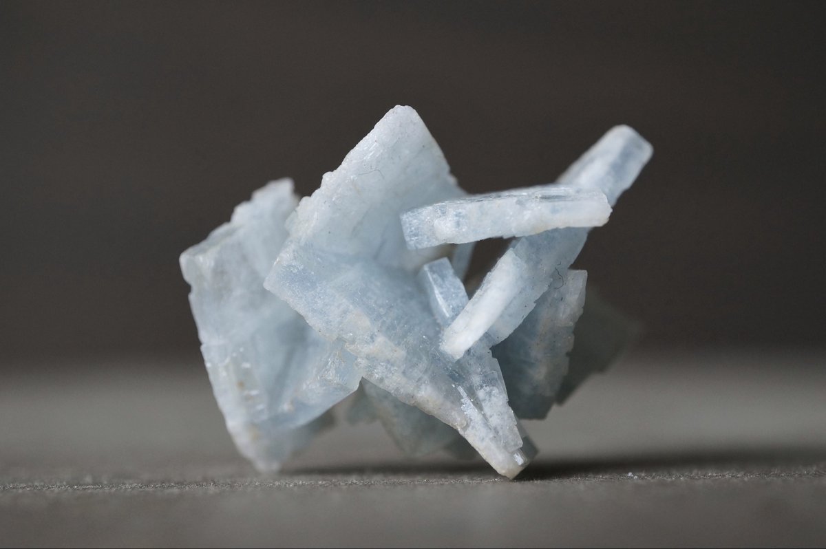 叙景 jokei 鉱物 / 風景石 / 化石 /水石 tweet media