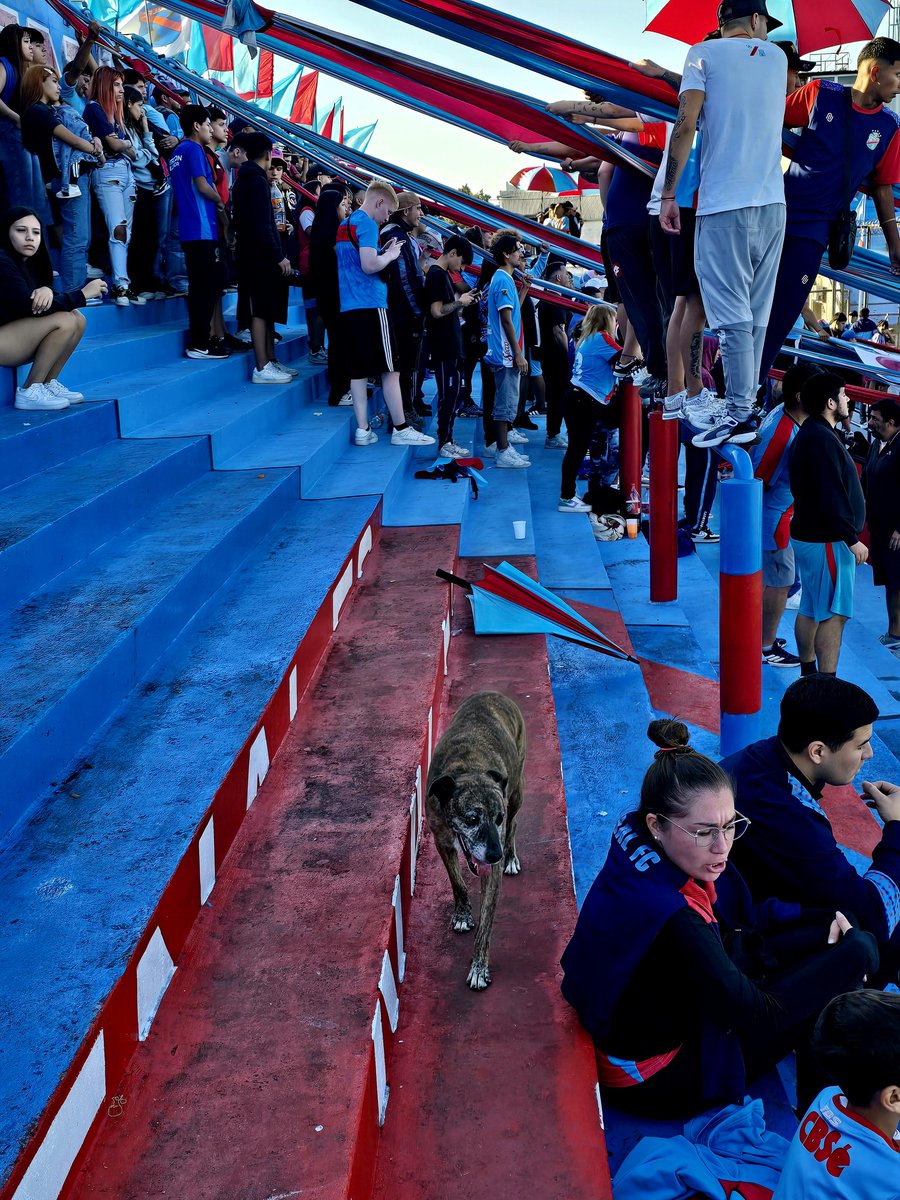 John de Jonge tweet media