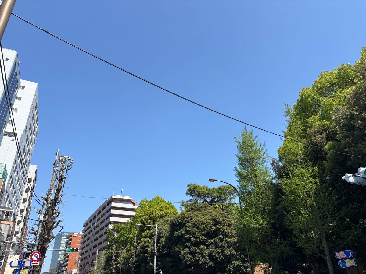 おはようございます✨
今の #文京区 西片の天気は晴れ☀気温は24℃

今日は #ガッツポーズの日 朝からかなり暑いですね
水分補給を忘れずに
皆さま、良い週末を😁

#今日は何の日
#イマソラ
#公式企業が地元の天気を言い合う