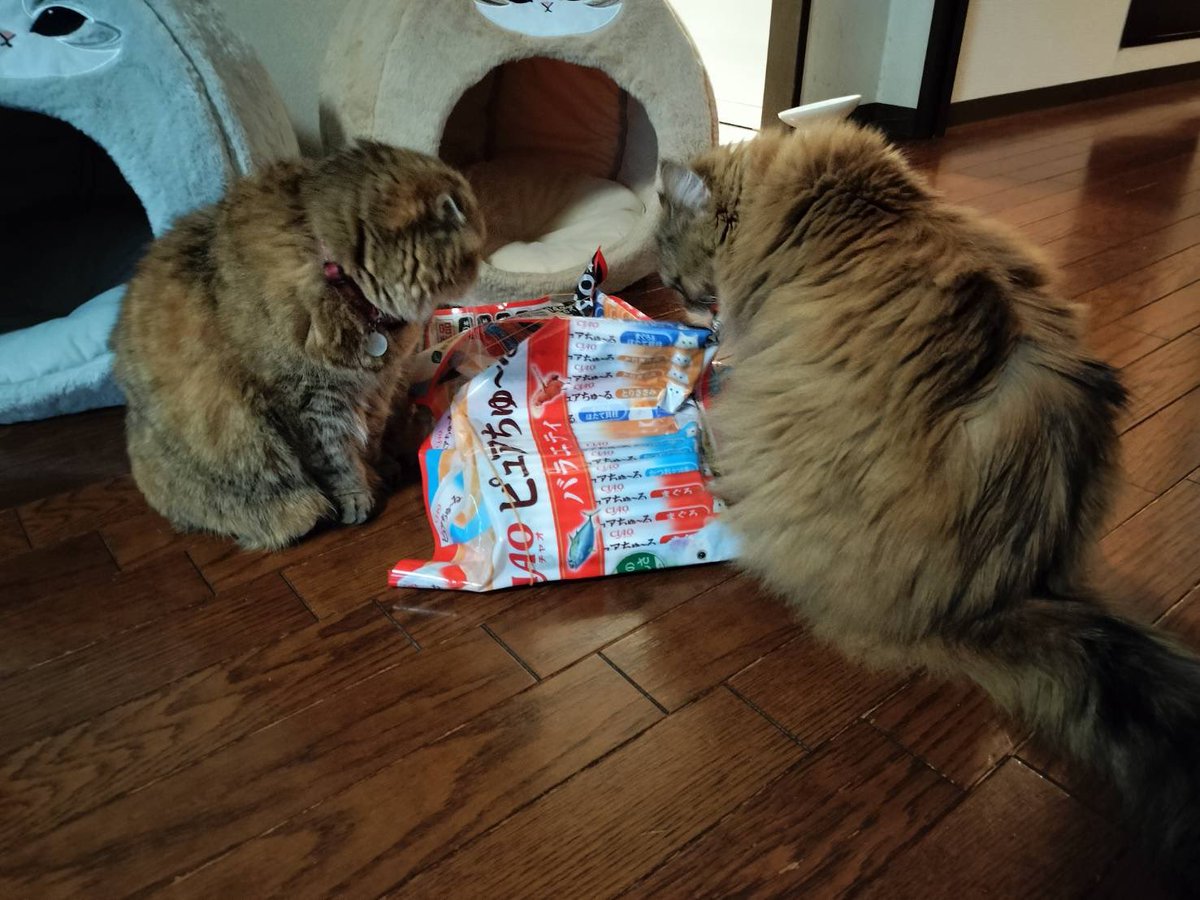 重清もも子 tweet media