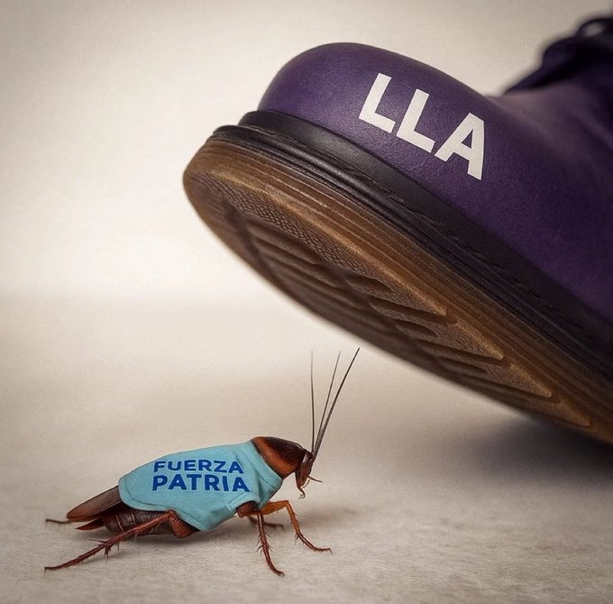 Millerintelectual tweet media