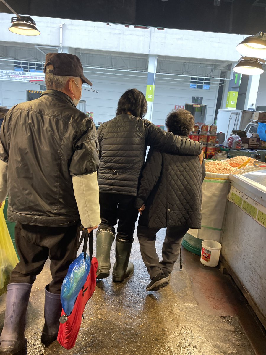 찔레꽃 tweet media