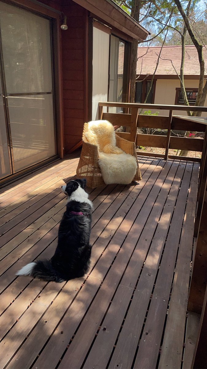 ふるふる|移住民@長泉町👩🏻‍🌾 tweet media