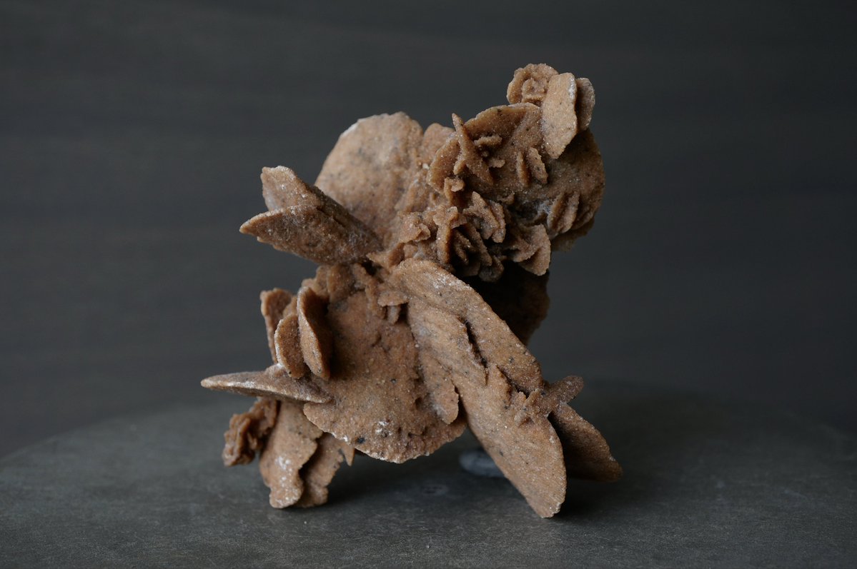 叙景 jokei 鉱物 / 風景石 / 化石 /水石 tweet media