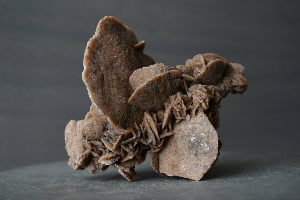 叙景 jokei 鉱物 / 風景石 / 化石 /水石 tweet media