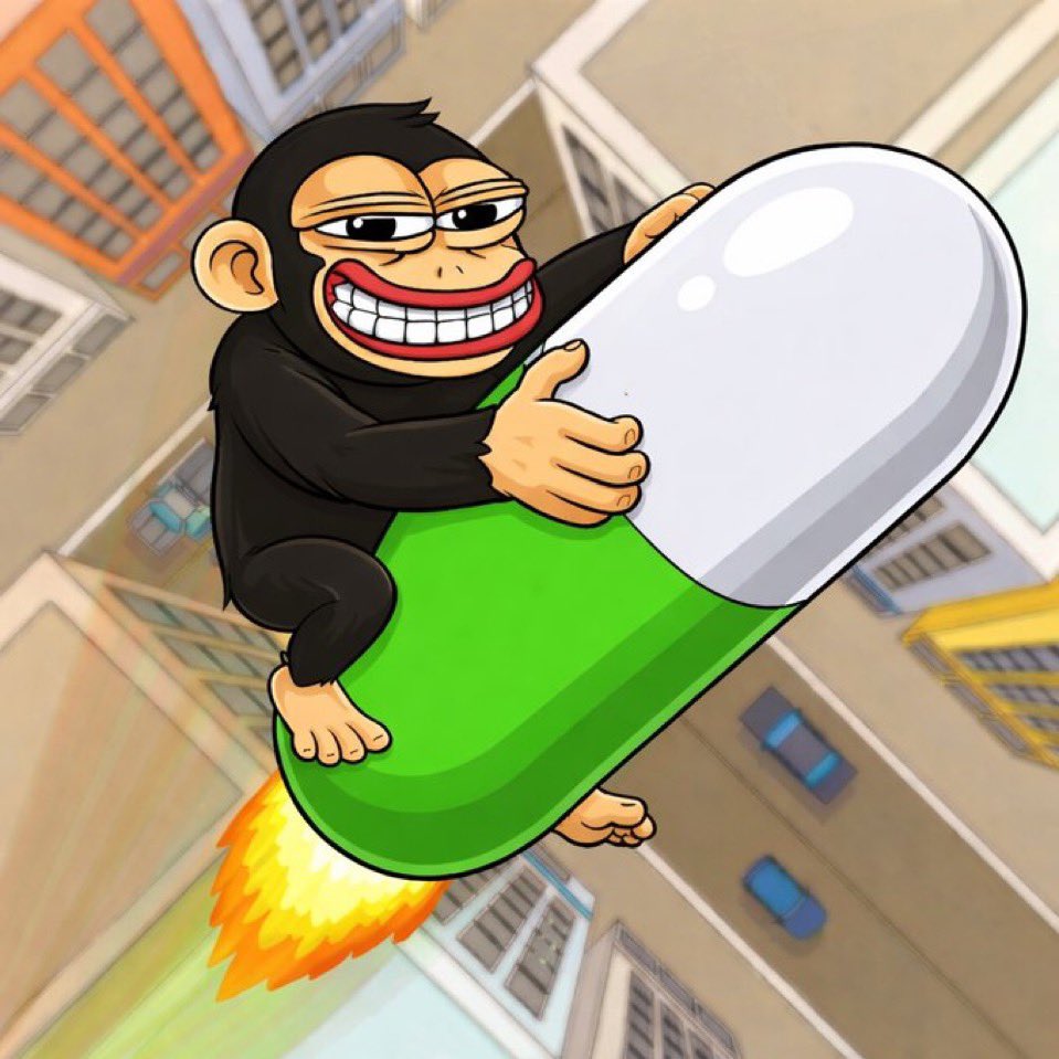 Chimpe tweet media