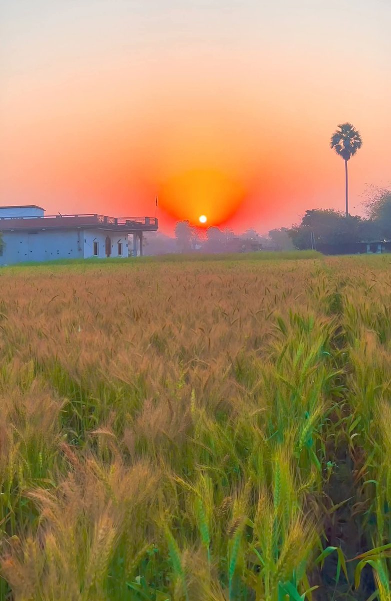 ❤️S FATMA سعیدہ فاطمہ ❤️ tweet media