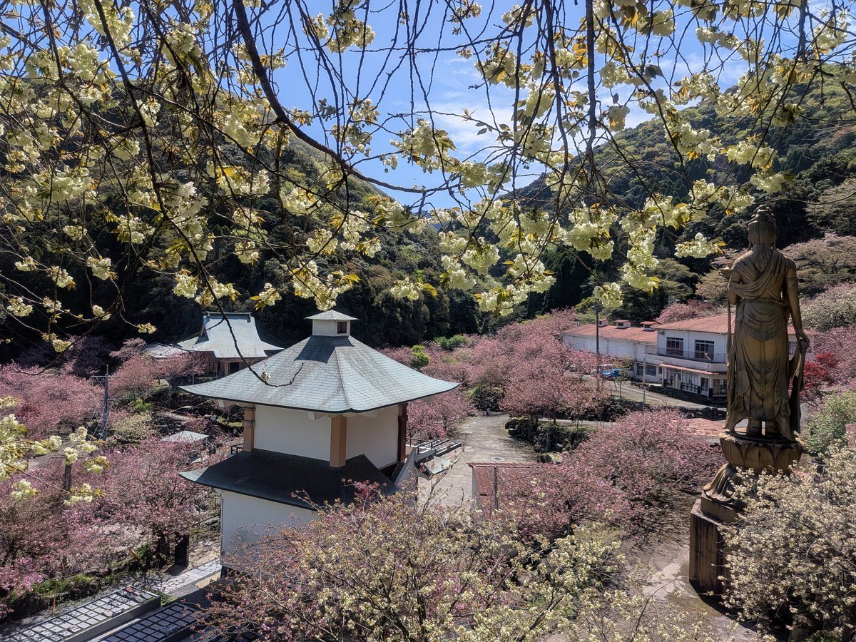 らみぃ tweet media