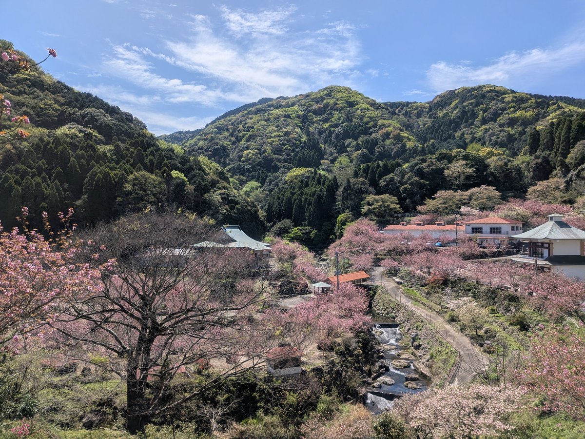 らみぃ tweet media