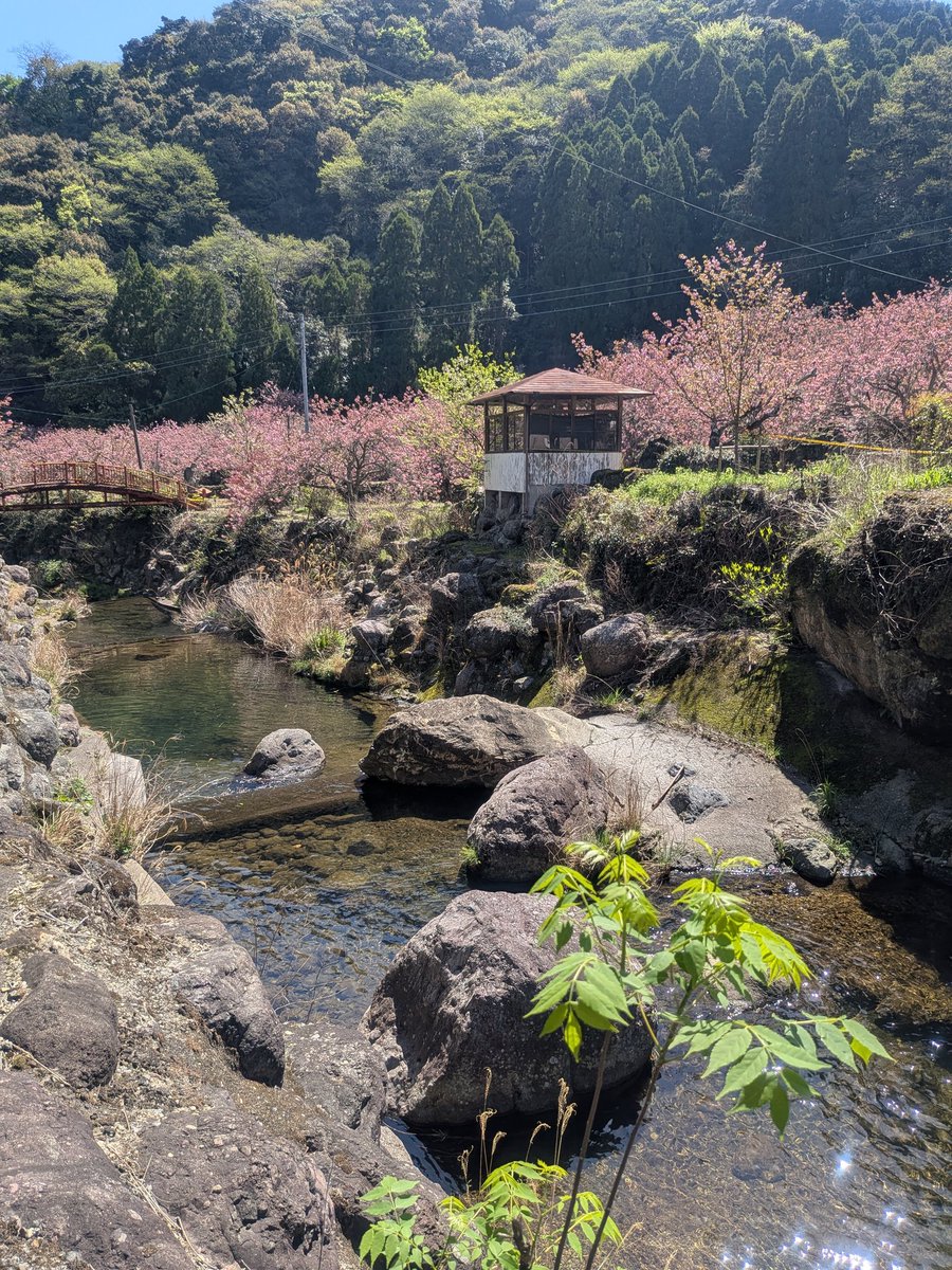 らみぃ tweet media