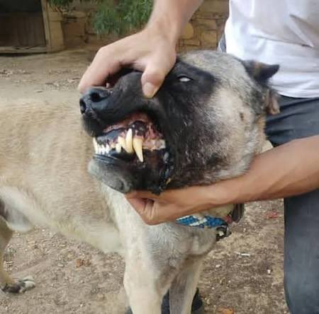 onlyvolume tweet media