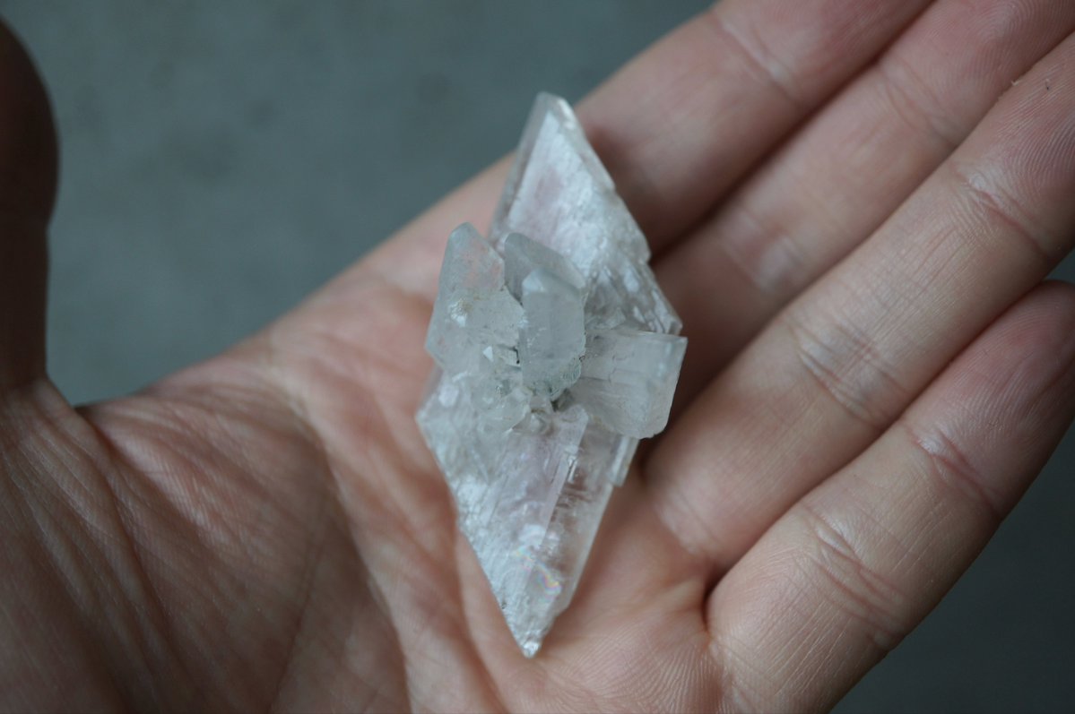 叙景 jokei 鉱物 / 風景石 / 化石 /水石 tweet media