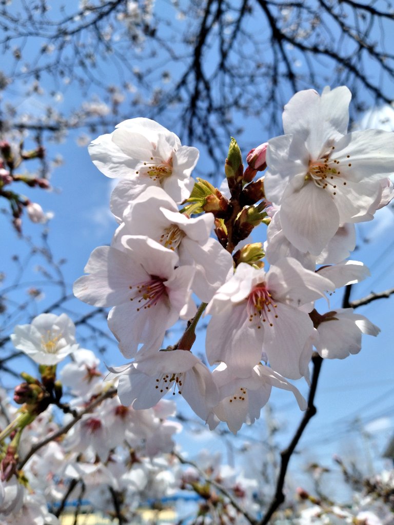 ろんぐ tweet media