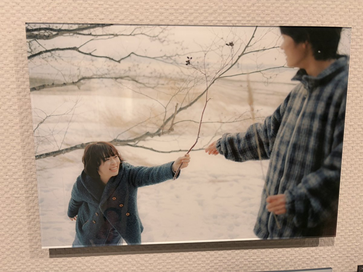 キャプテン_コウタ@森七菜推しの人 tweet media