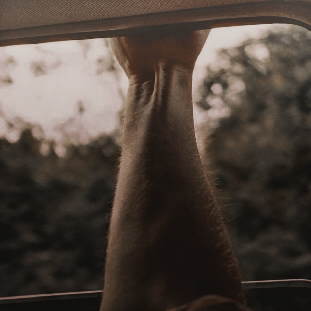 𝐓𝐞𝐝𝐝𝐲 𝐋𝐮𝐩𝐢𝐧. tweet media