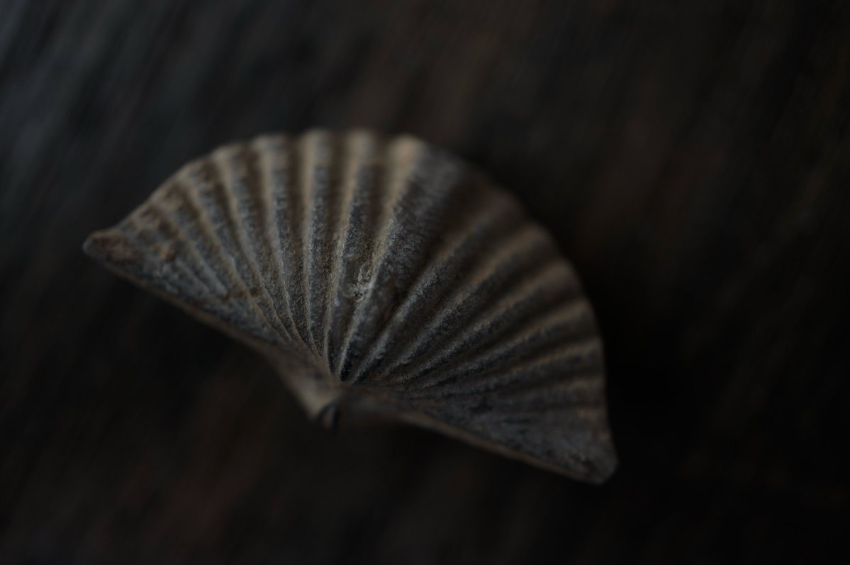 叙景 jokei 鉱物 / 風景石 / 化石 /水石 tweet media