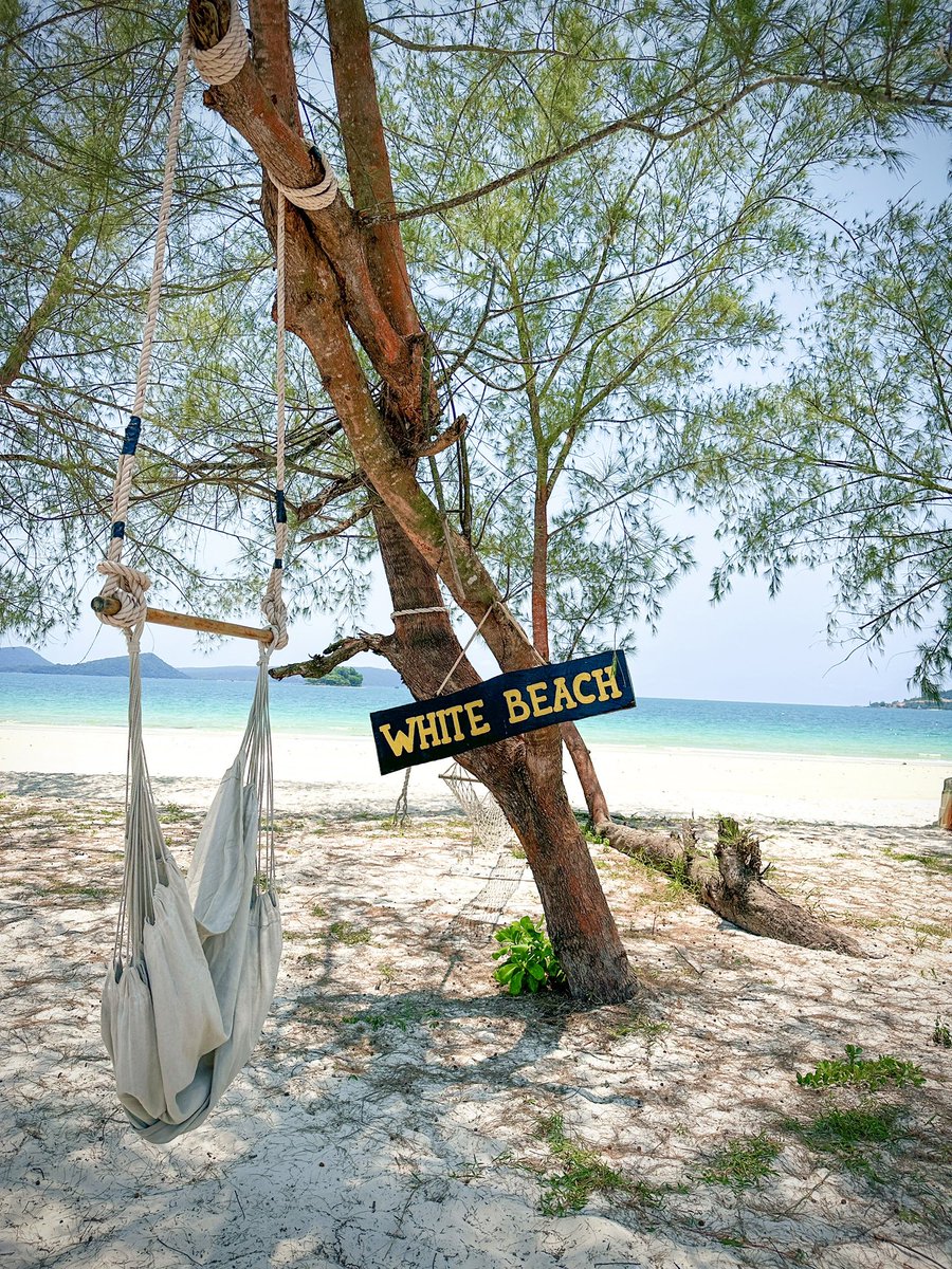 Lotus Design 🇰🇭 Cambodia tweet media