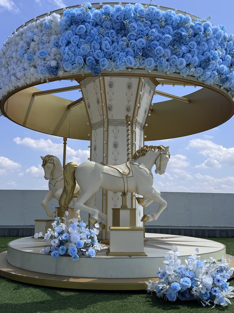 ルーフコロル🎠 tweet media