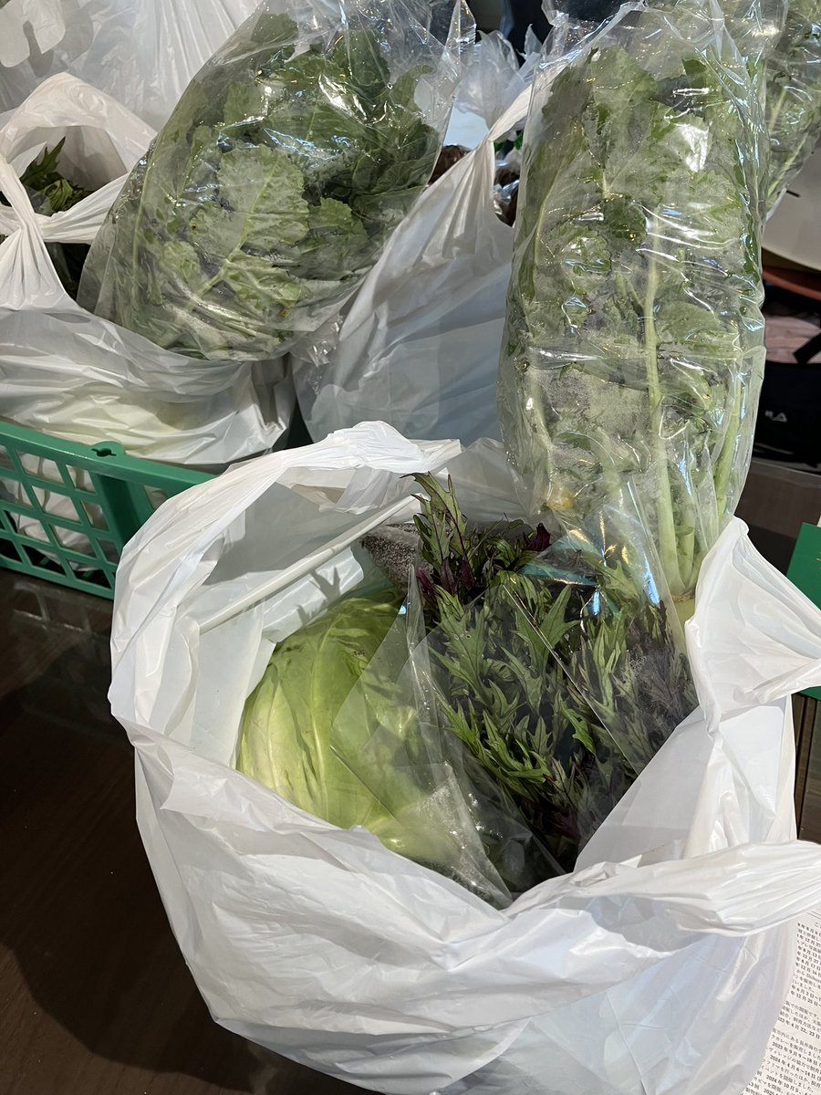 のりぴ tweet media