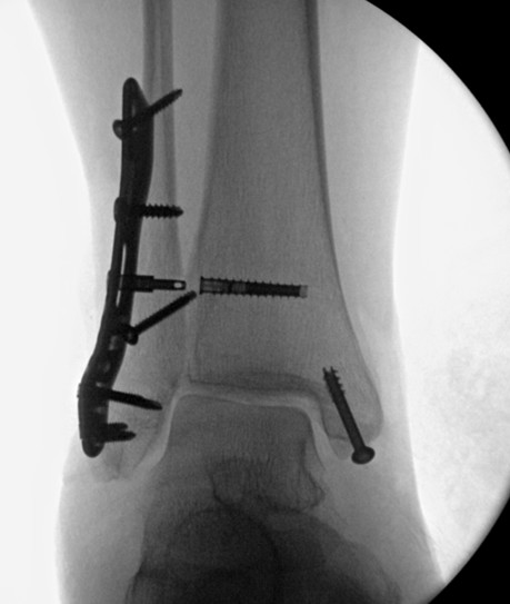 Amr Abdelgawad tweet media