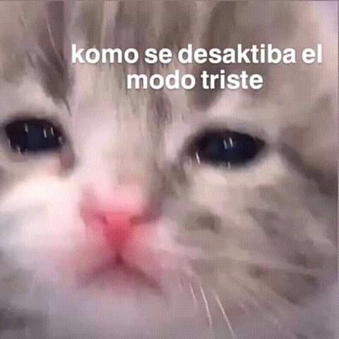 DiscordMF tweet media