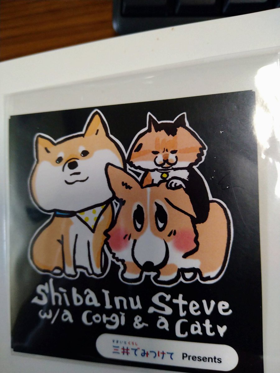 jun-o🐟️ tweet media