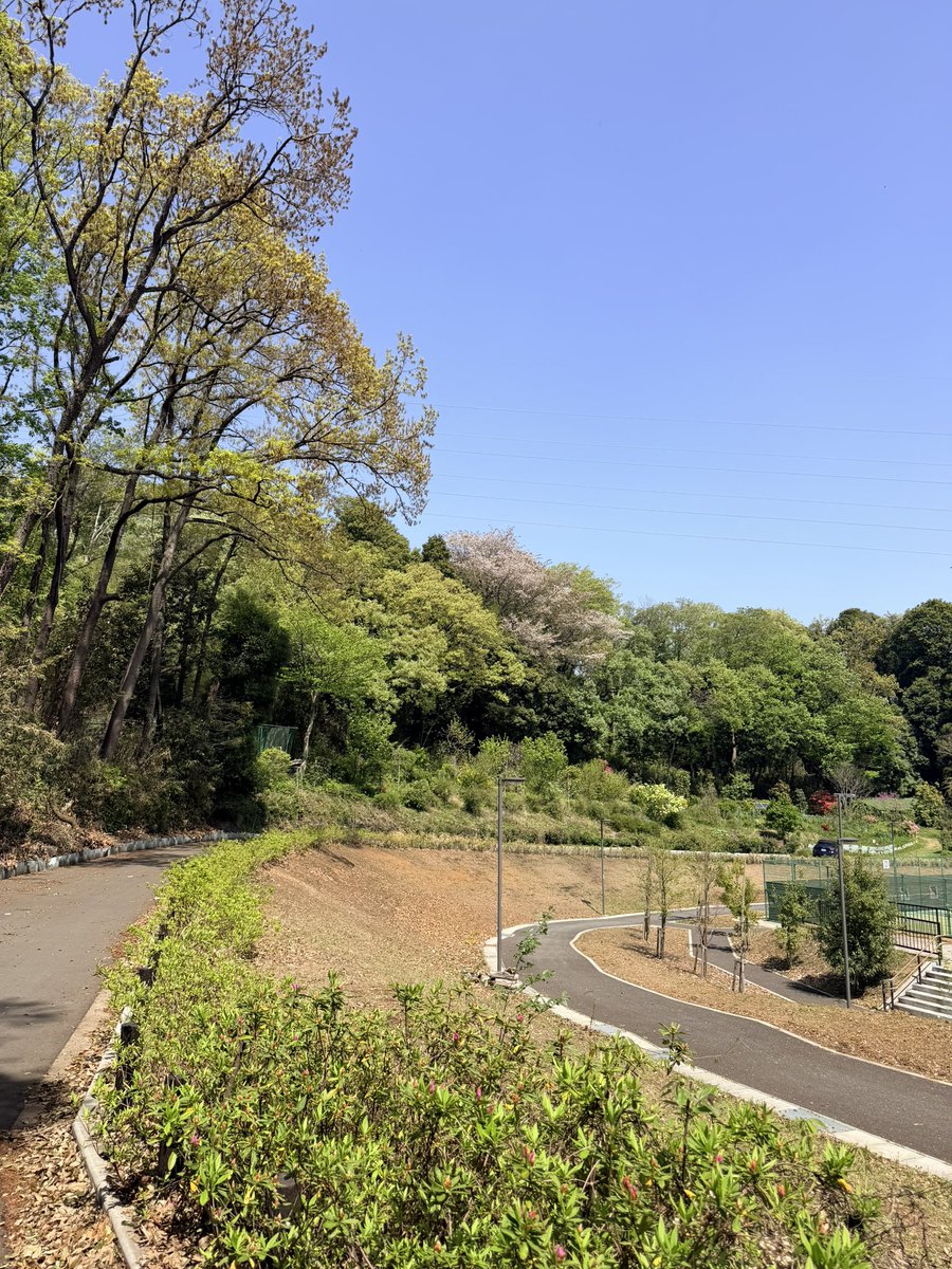 @ta2ya67 tweet media