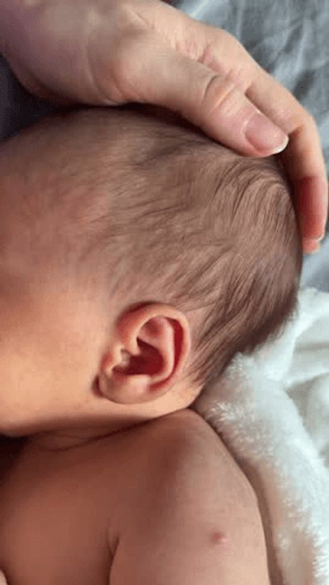 🌺Bell tweet media