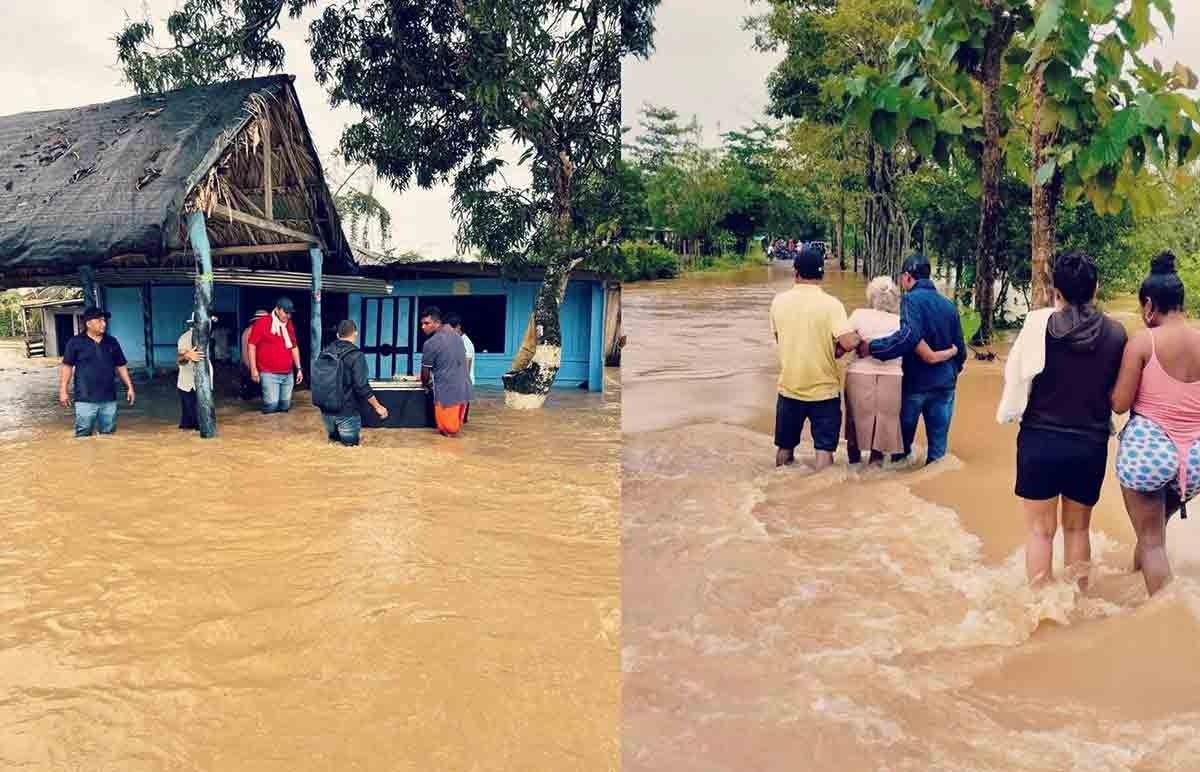 Periódico El Universal SV tweet media