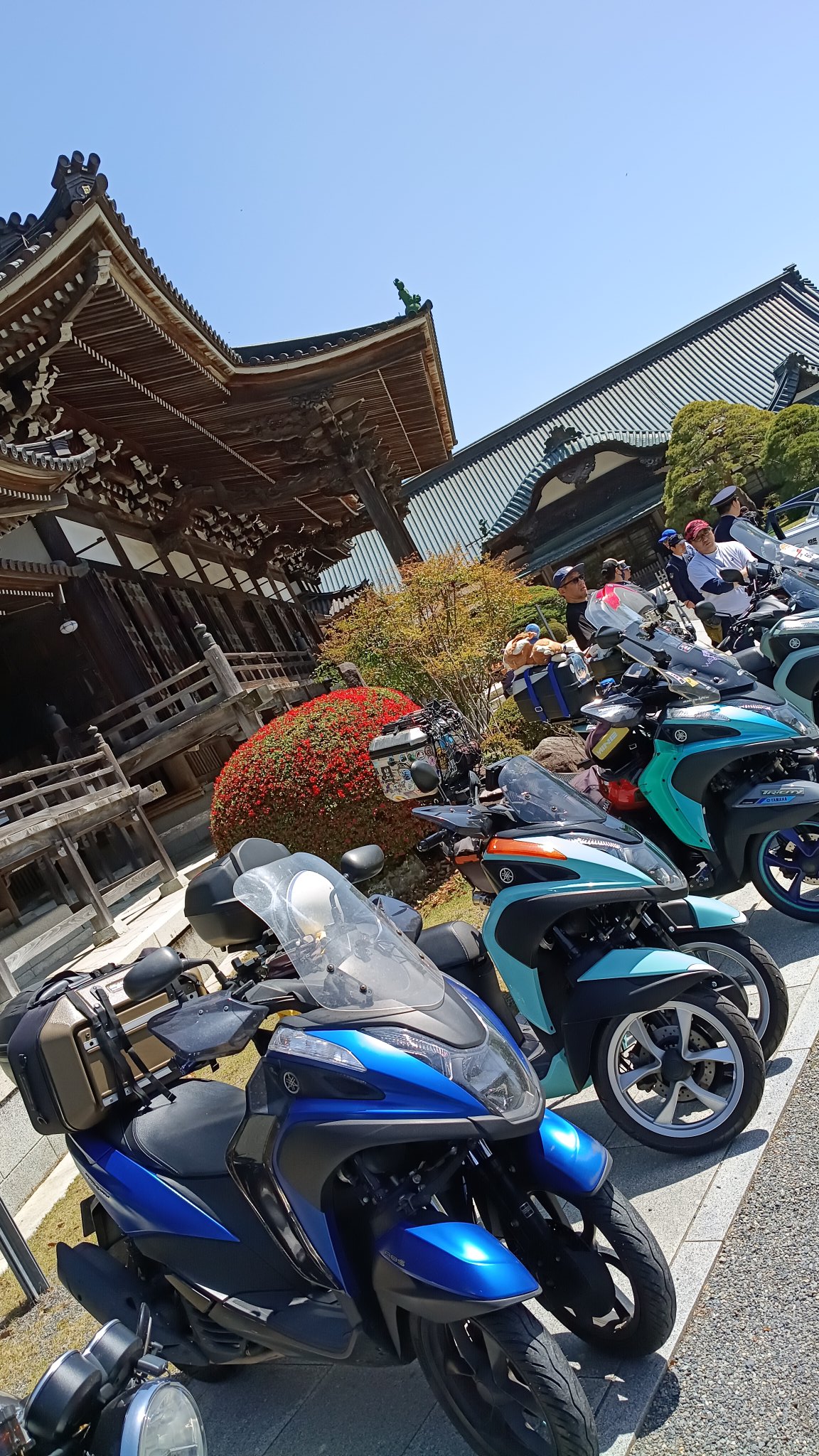 抹茶３(MaCH_3)承 (@matsugha) on X