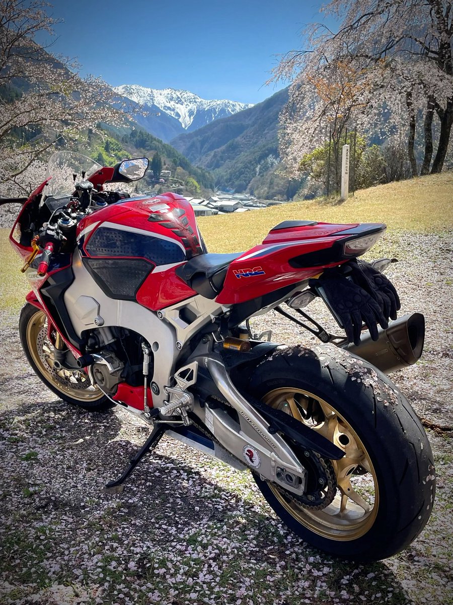 お昼前のひととき👍