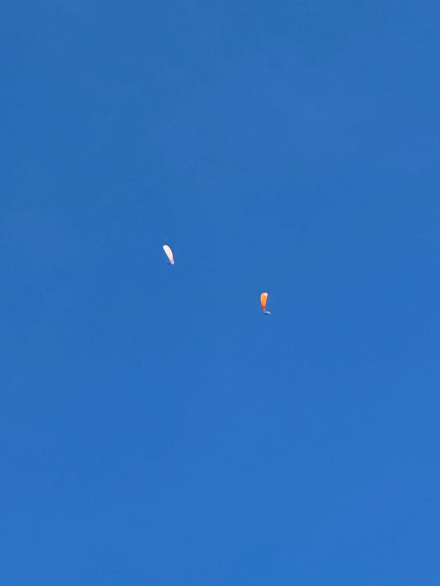 Scottiegrrl🤔 tweet media