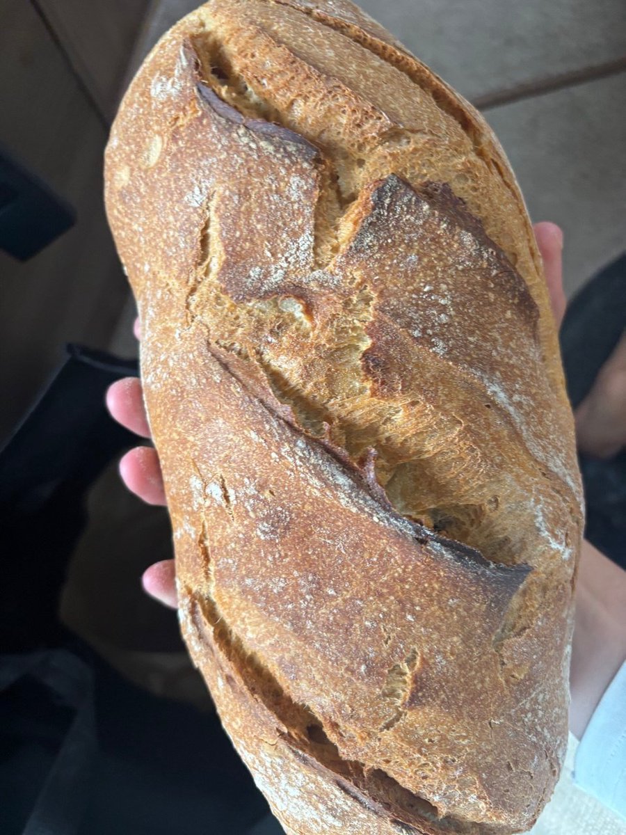 Gentle Man tweet media