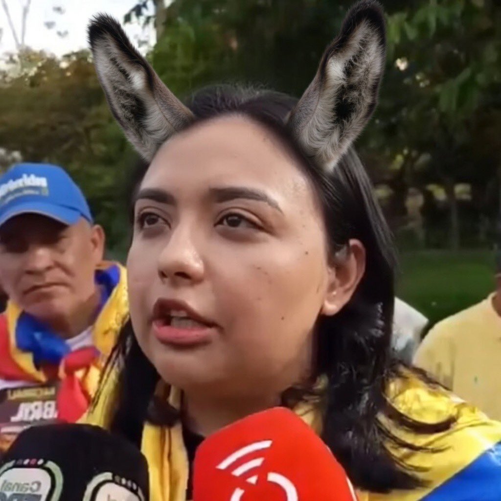 LoreMezza tweet media