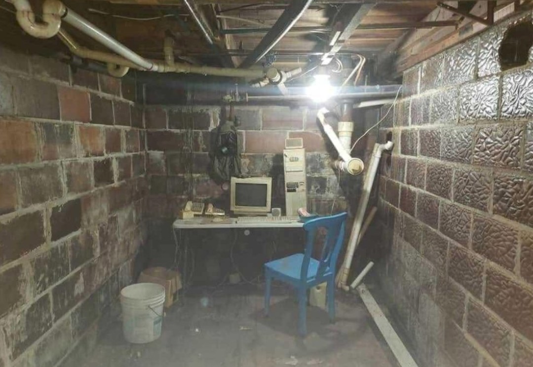 Stephanie Horror 🖤 tweet media