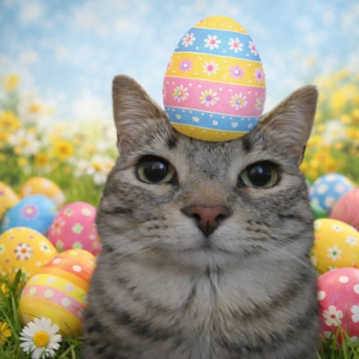 отстояла длинную очередь за куличами, забрала последние большие и убежала пока не получила пизды от бабок в очереди после меня